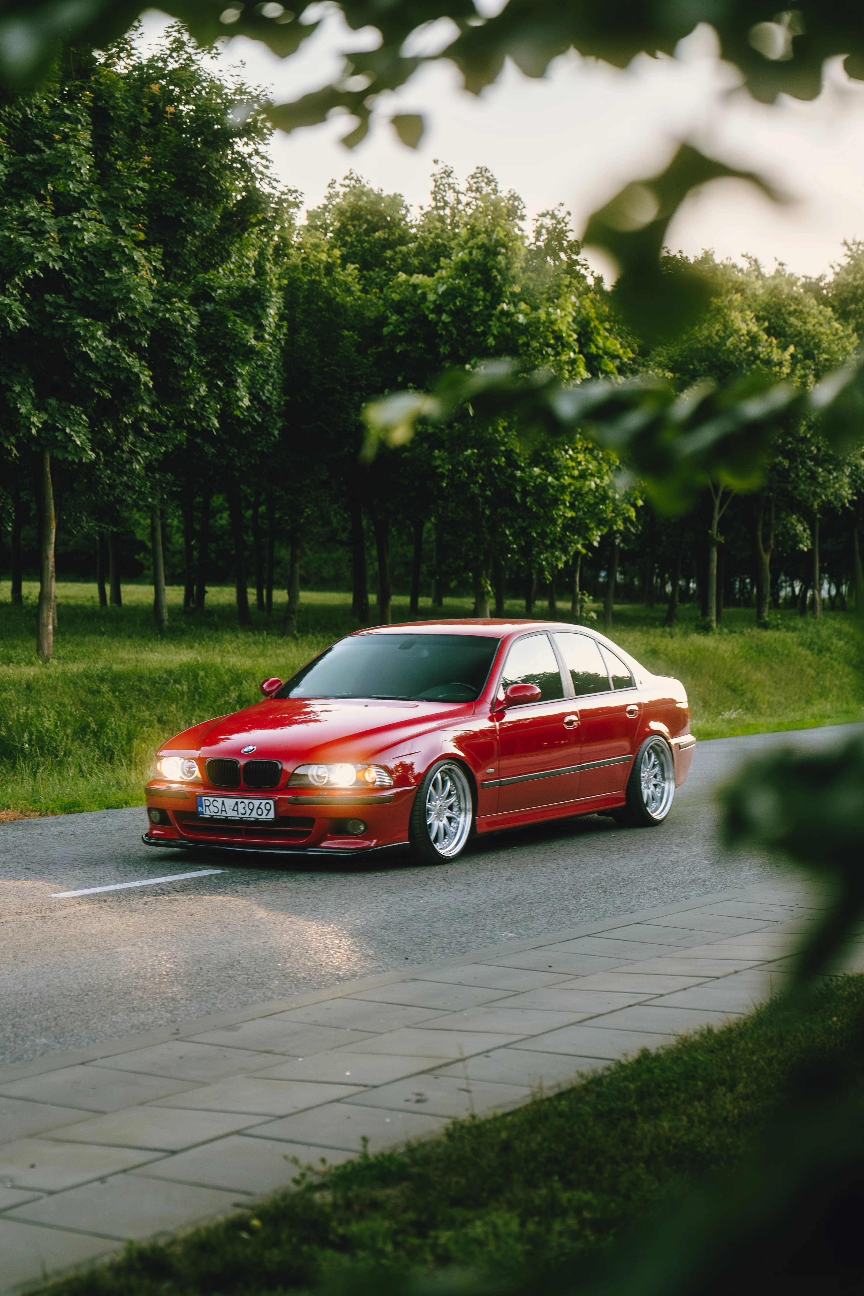 Czerwone BMW E39 między drzewami
